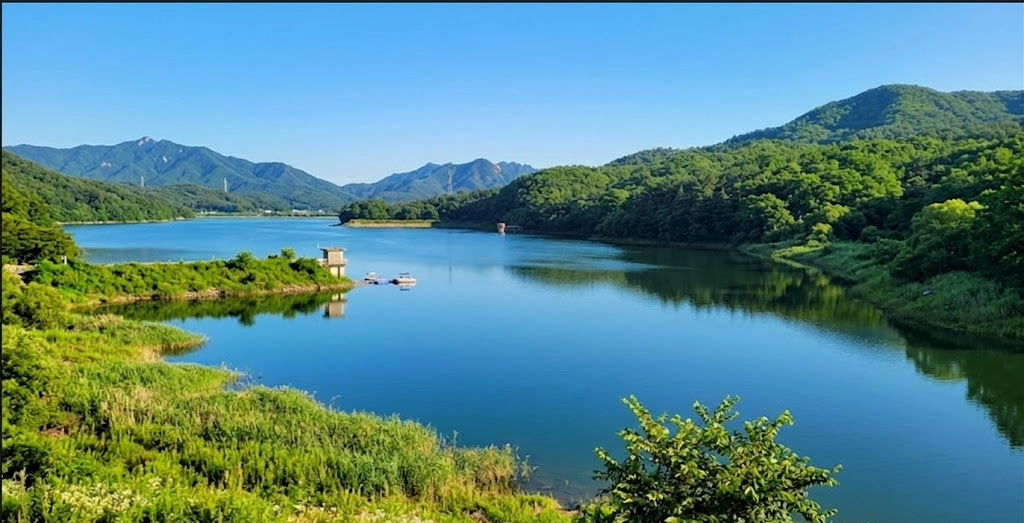 수질정화 활동 02